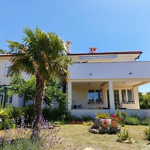 Danijel , Krk Town Kroatien